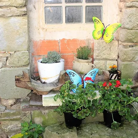 Maison Près Cité De Carcassonne *